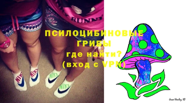 ешки Алексеевка