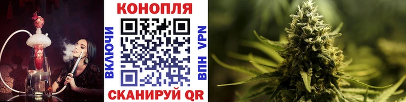 Конопля White Widow  Купить закладки  Нововоронеж 